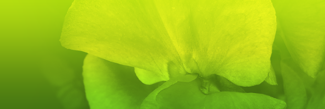 ddos攻击防御手段